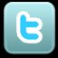 Ann on Twitter.